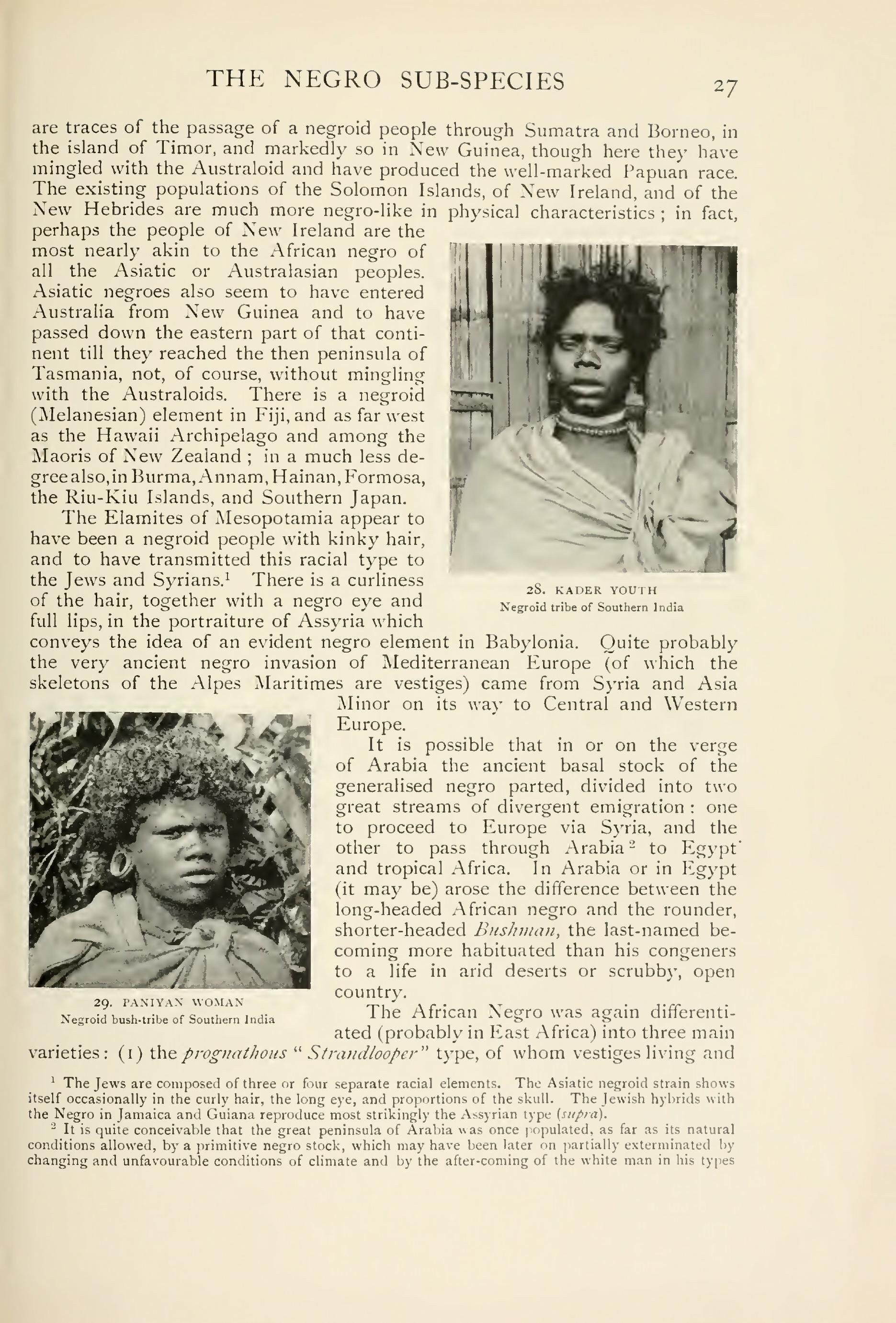 The Negro in the New World