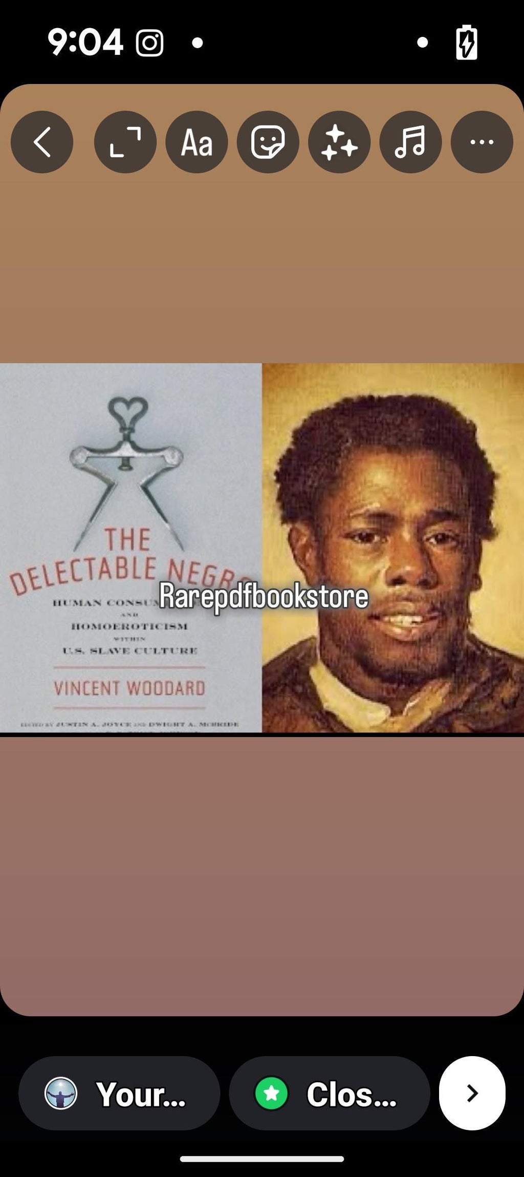 The Delectable negro