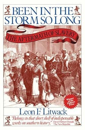 Been in the Storm So Long: The Aftermath of Slavery