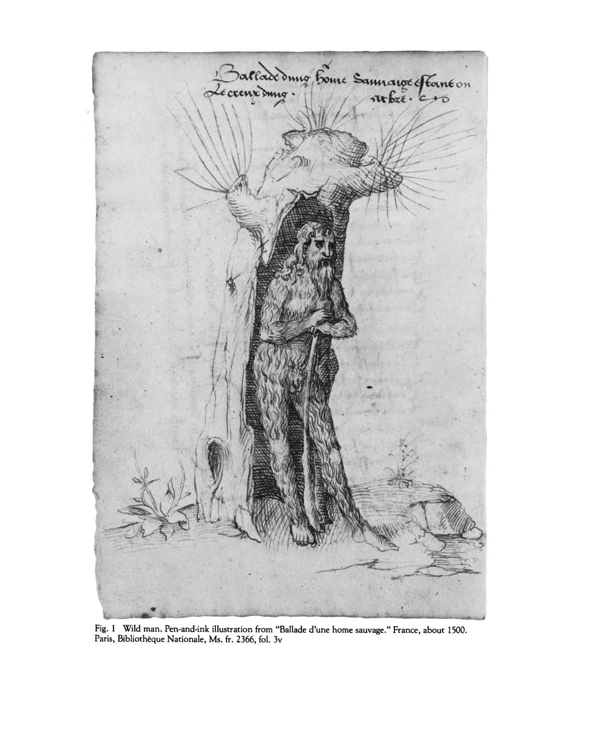 The Wild Man: Medieval Myth and Symbolism